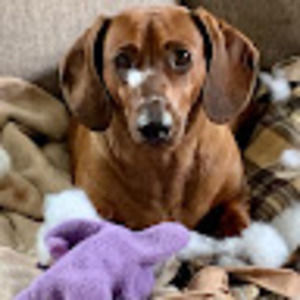 Meet your Posher, Stacey